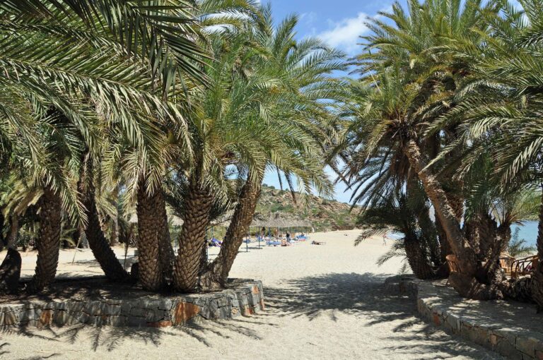 spiaggia di Vai, Creta: cosa vedere, cosa fare, come arrivare